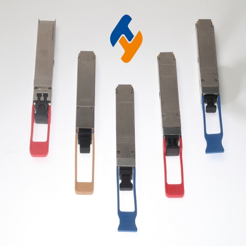 1756289344471123.jpg YANG4262(1).jpg